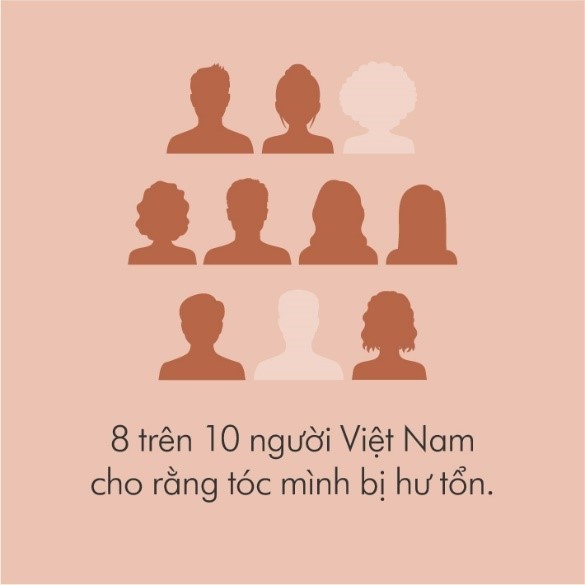 Nghiên cứu tóc Dyson: Đa số người Việt Nam nghĩ rằng tóc mình bị hư tổn